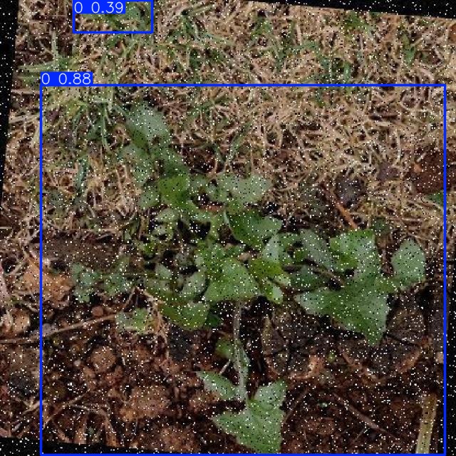 Annotated Image
