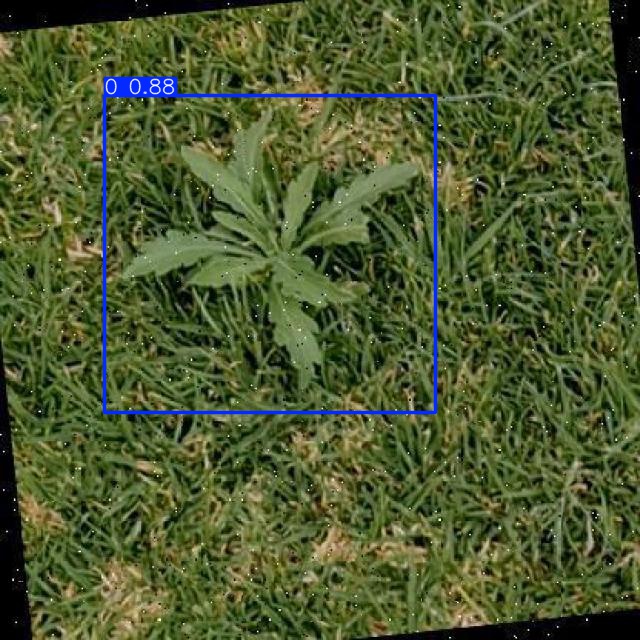 Annotated Image