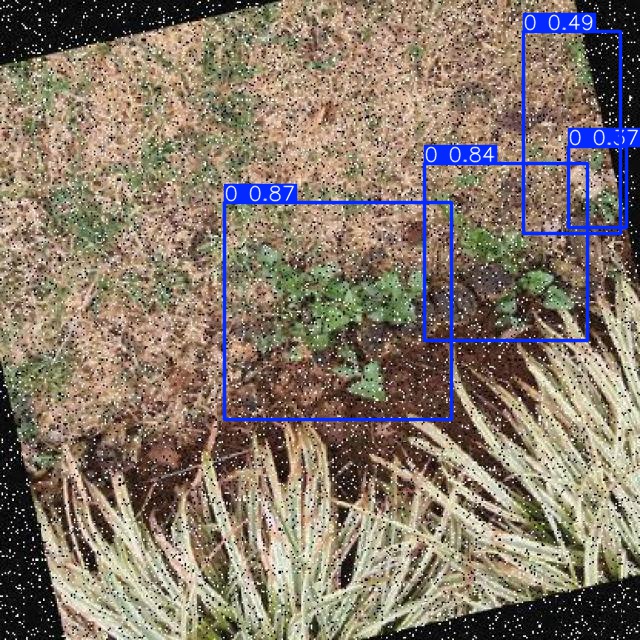 Annotated Image