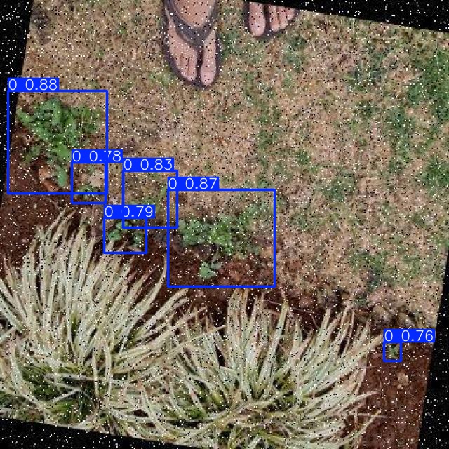 Annotated Image