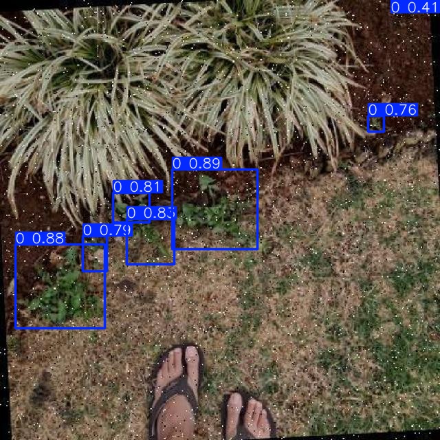 Annotated Image