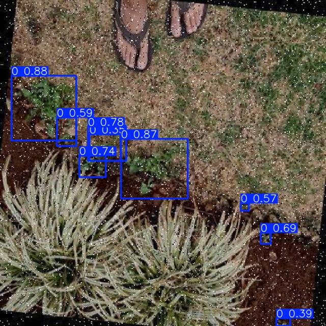 Annotated Image