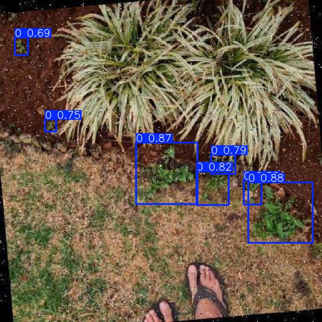 Annotated Image