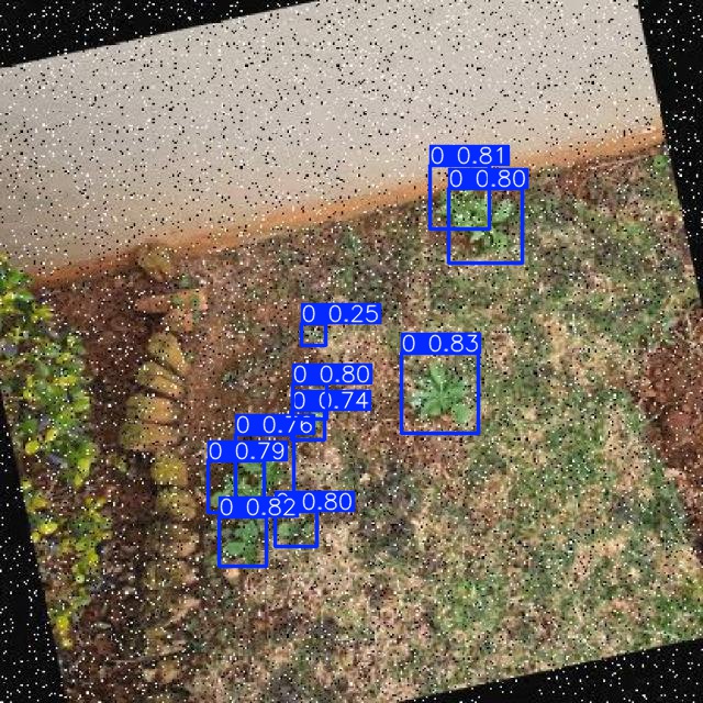 Annotated Image