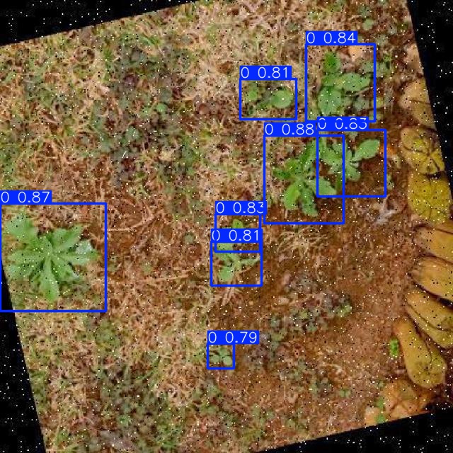 Annotated Image