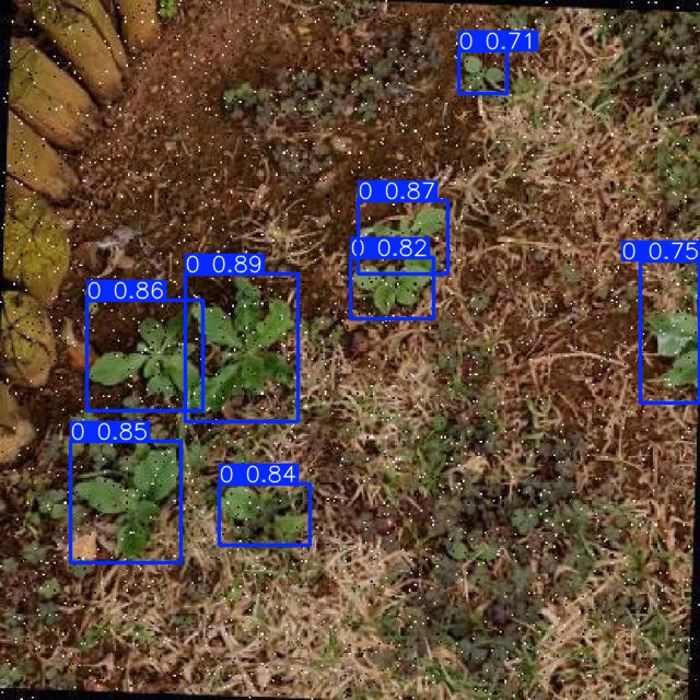 Annotated Image