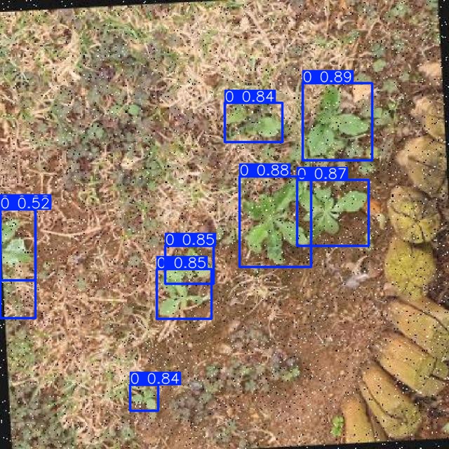 Annotated Image