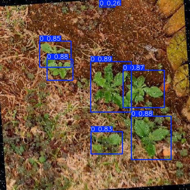 Annotated Image
