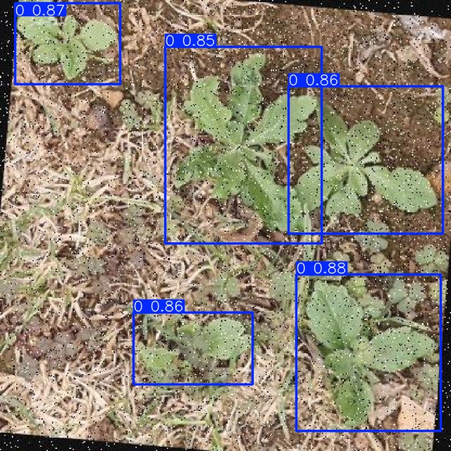 Annotated Image