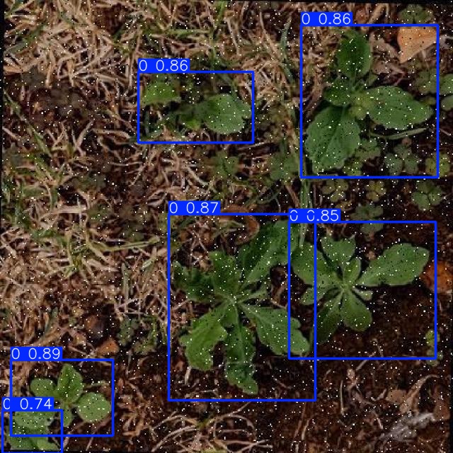 Annotated Image