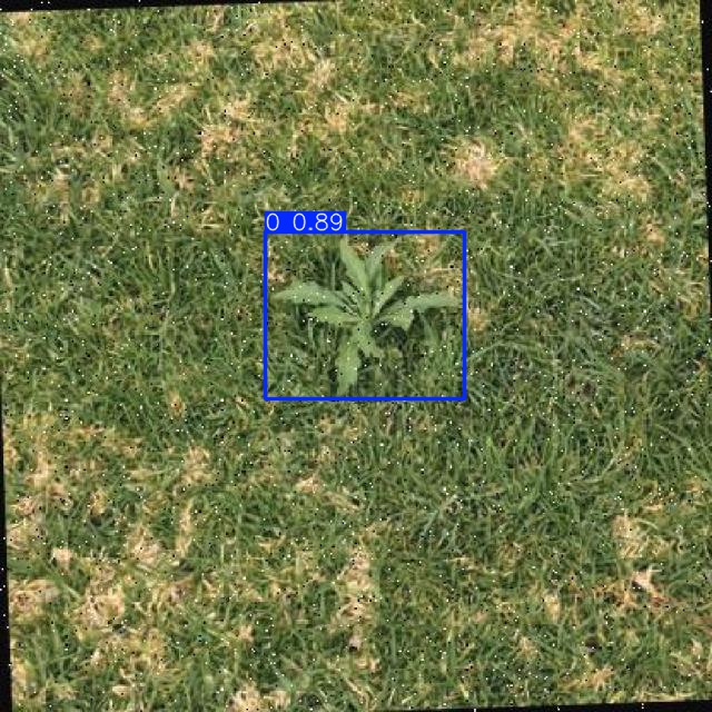 Annotated Image