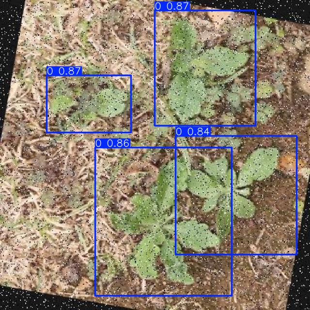 Annotated Image