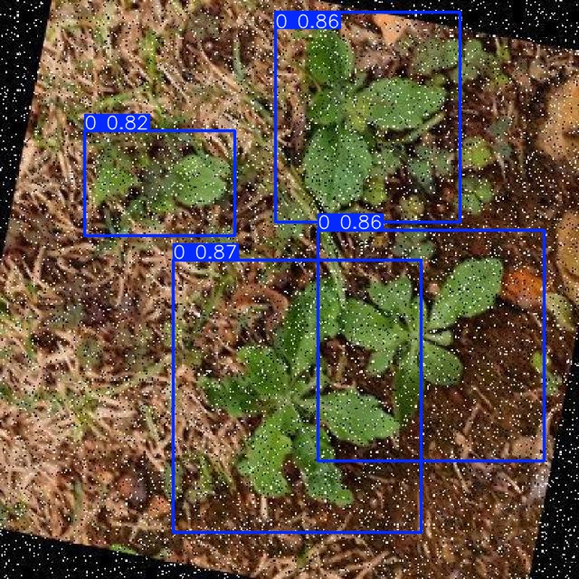 Annotated Image