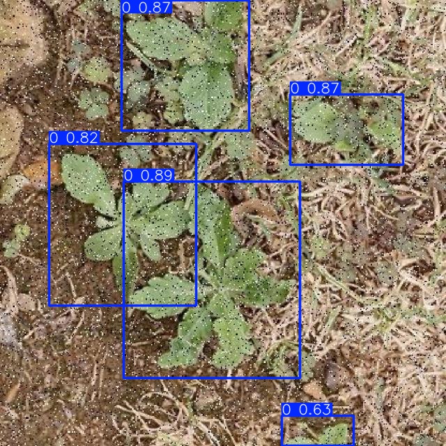 Annotated Image