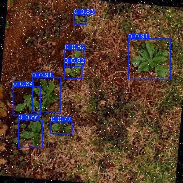 Annotated Image
