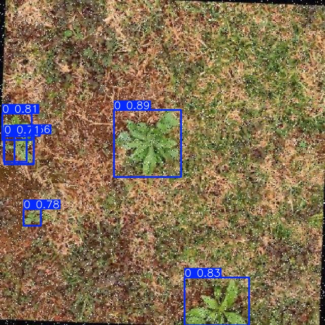 Annotated Image