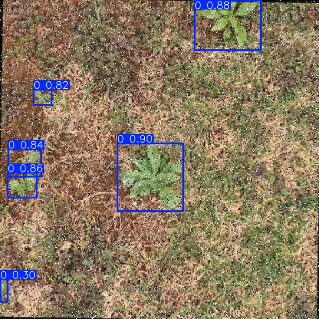 Annotated Image