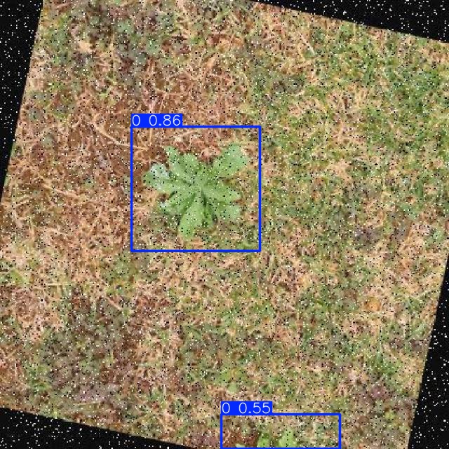 Annotated Image