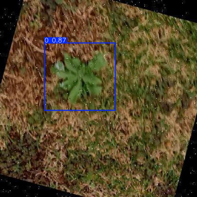 Annotated Image