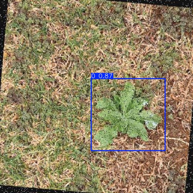 Annotated Image