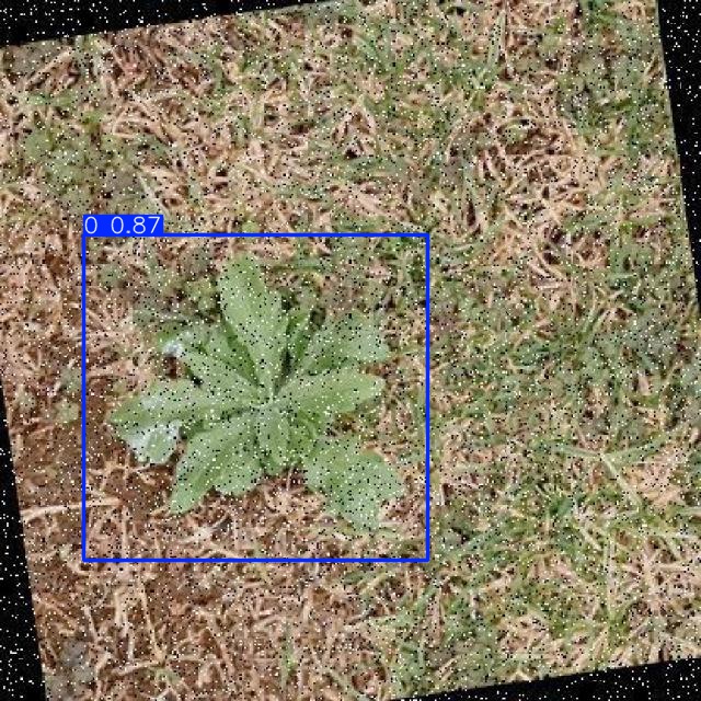 Annotated Image