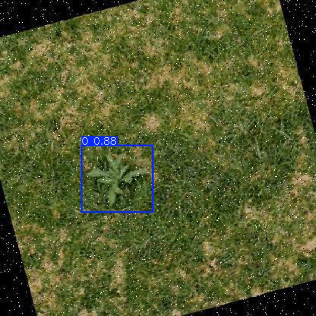 Annotated Image