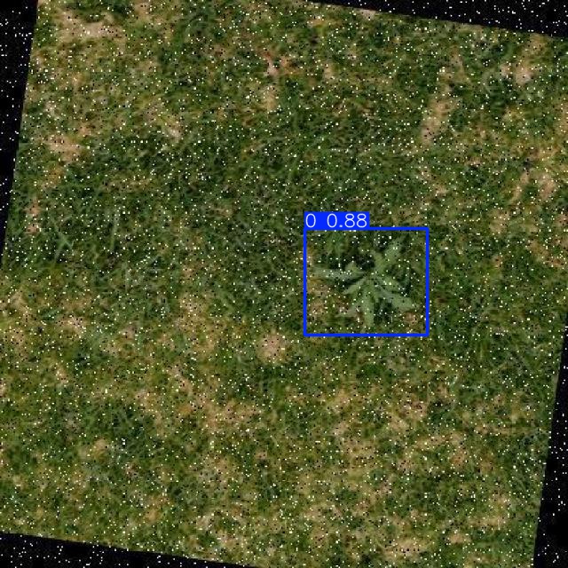 Annotated Image