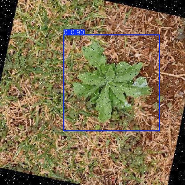 Annotated Image