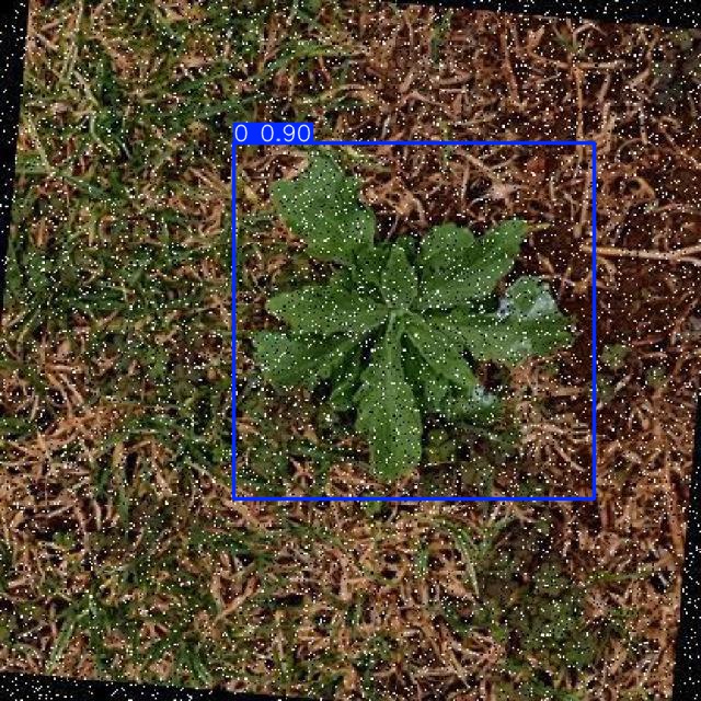 Annotated Image