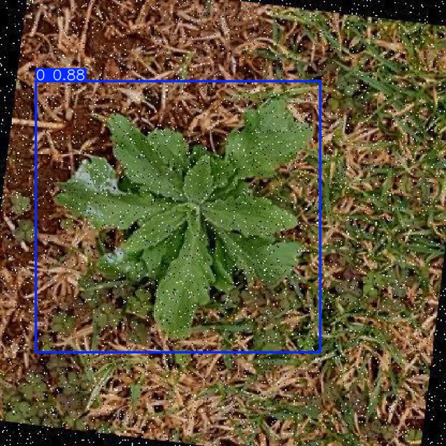 Annotated Image