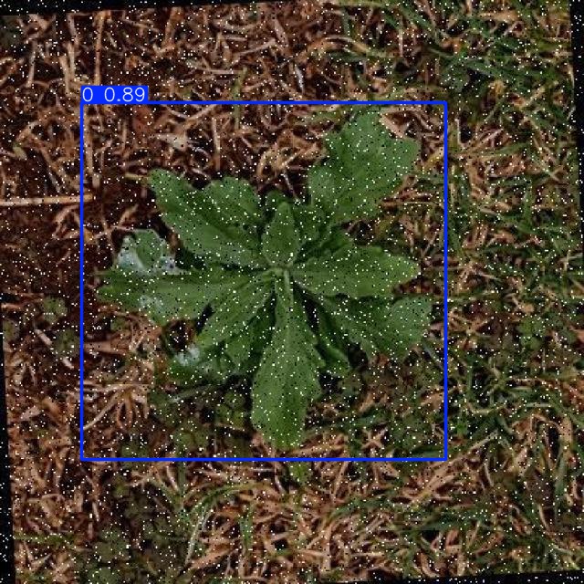 Annotated Image