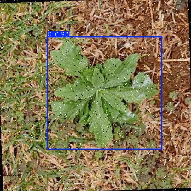 Annotated Image