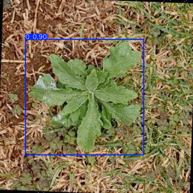 Annotated Image