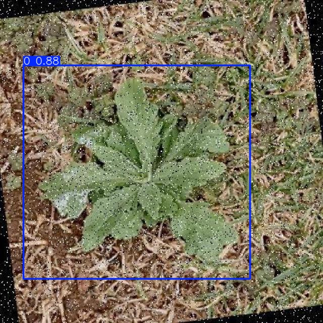 Annotated Image
