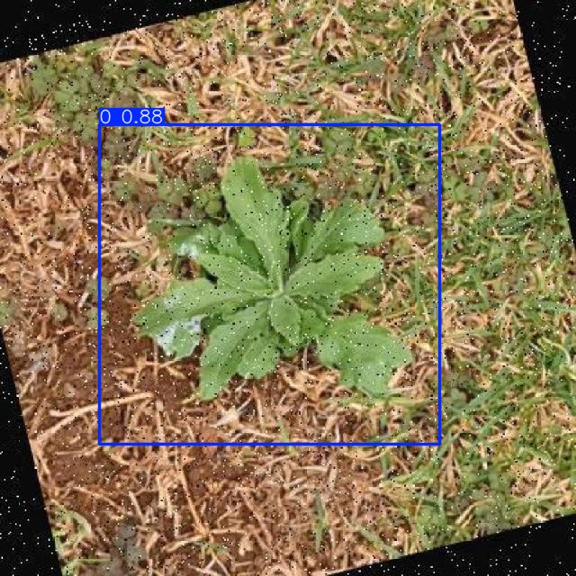 Annotated Image