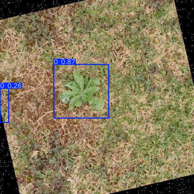 Annotated Image