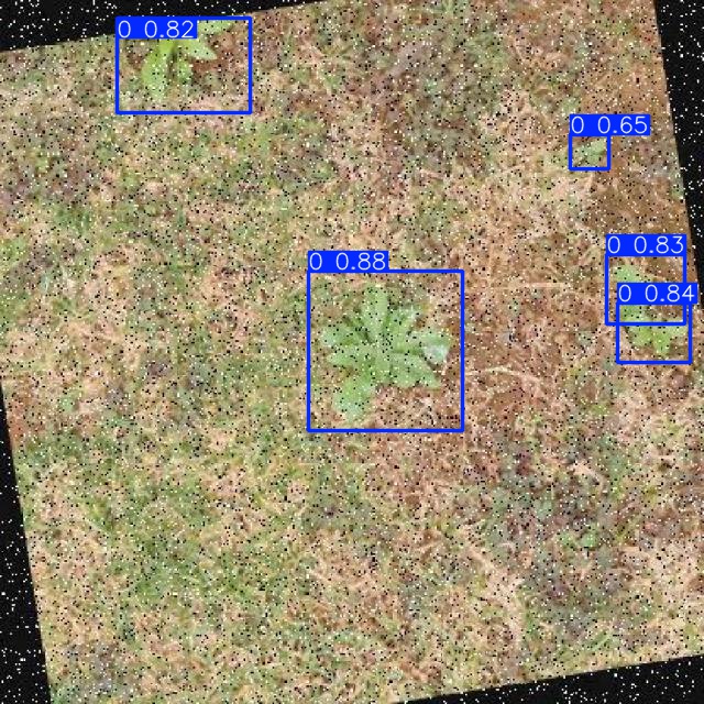 Annotated Image
