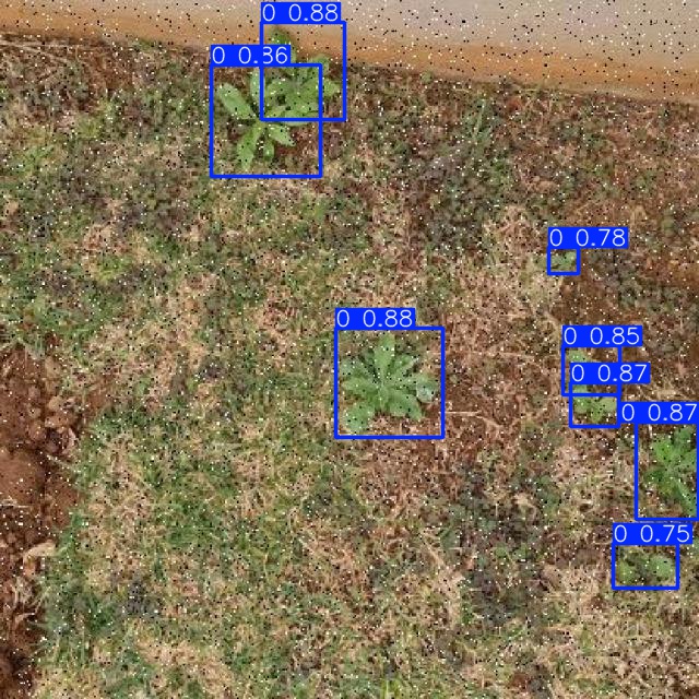 Annotated Image