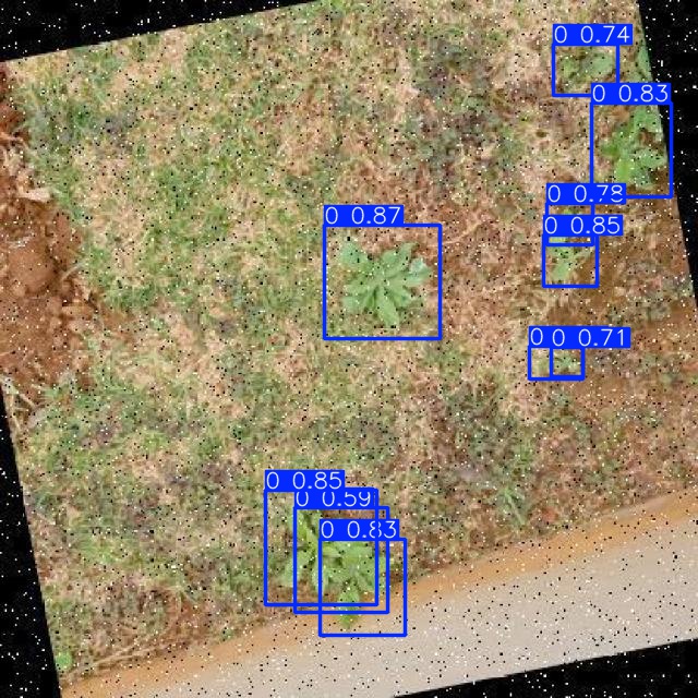 Annotated Image