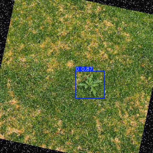 Annotated Image