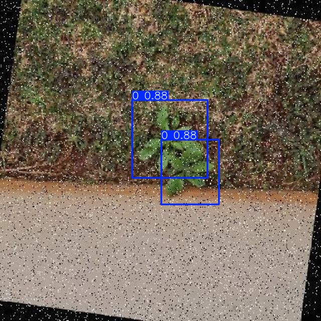 Annotated Image