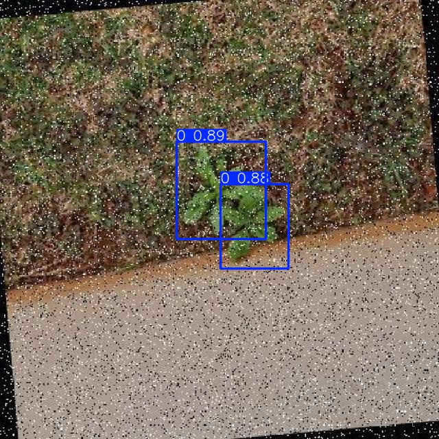 Annotated Image