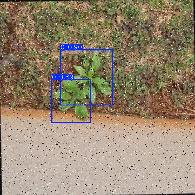 Annotated Image