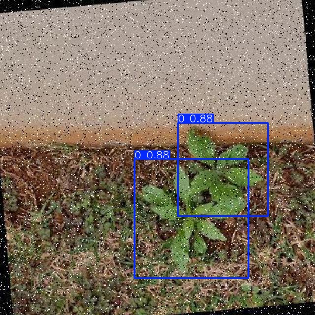 Annotated Image