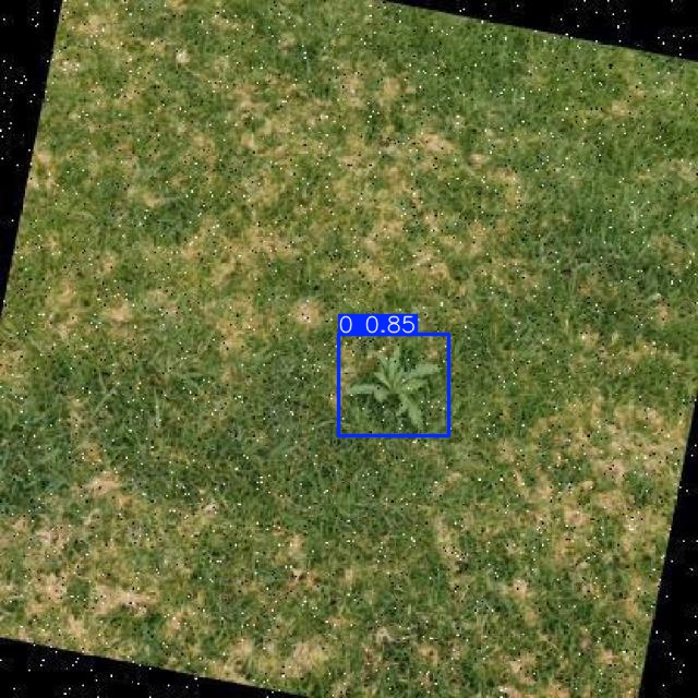 Annotated Image