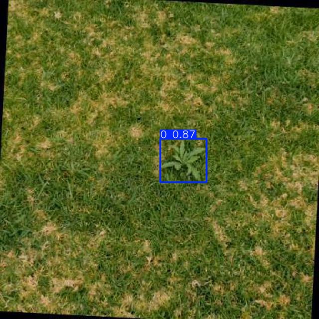 Annotated Image