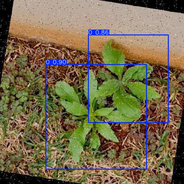 Annotated Image