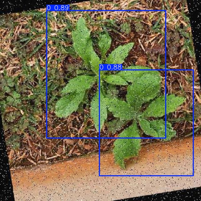 Annotated Image