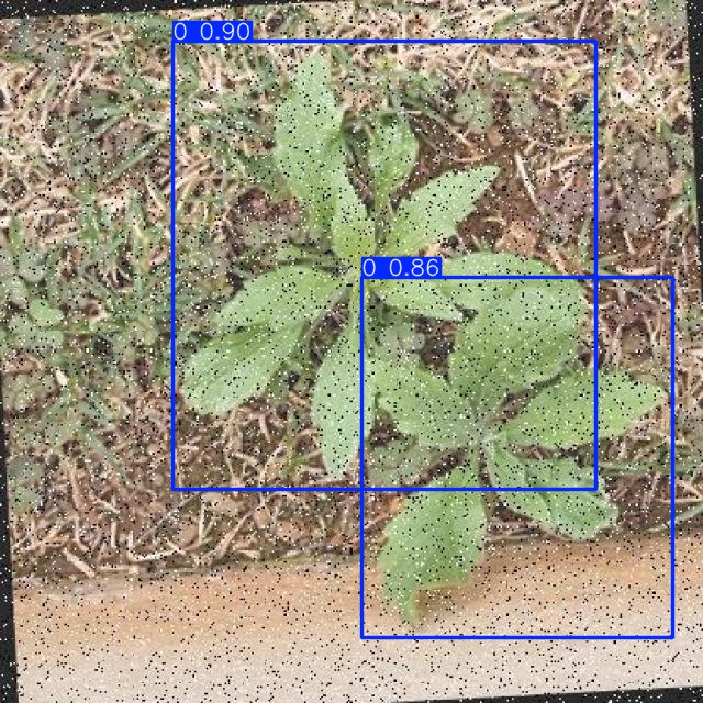 Annotated Image