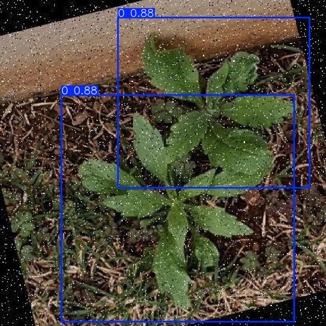 Annotated Image